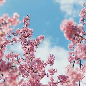 多人+大+粗+猛+爽np
